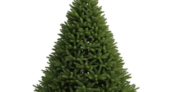 518514260930afcb922d6190e05a4492 Как выбрать идеальную живую ёлку в Алматы